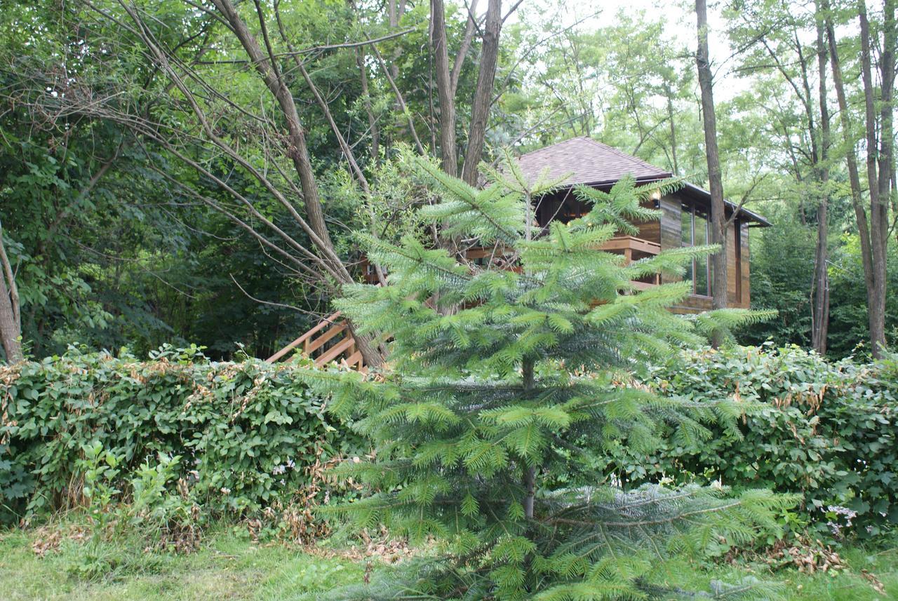 Porumbacu Treehouse Porumbacu de Sus Exterior foto